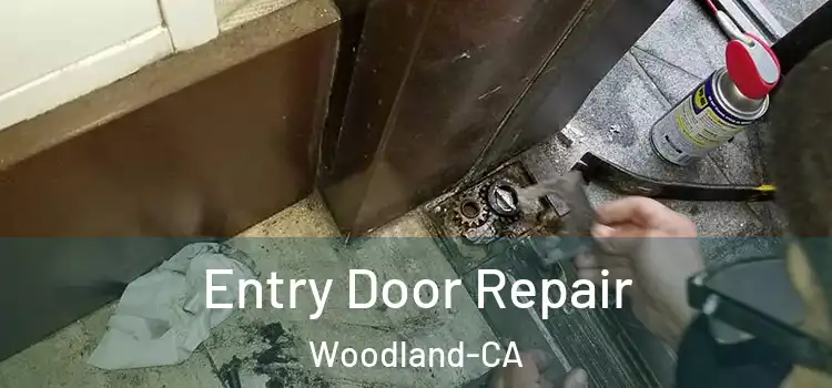  Entry Door Repair Woodland-CA